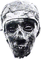 one of the first pictures of head of the king's mummy